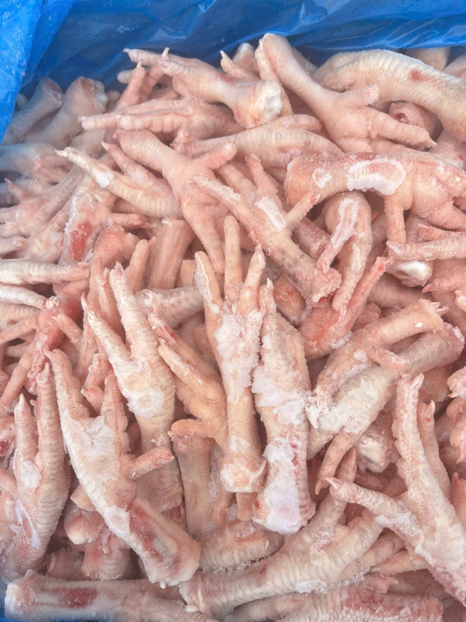 Cung Cấp Chân Gà Đông Lạnh Hà Nội – Giao Nhanh Trong Ngày